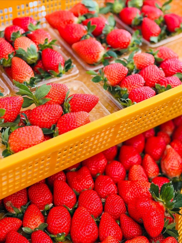 miyabi | いちご屋くろべえ 三重県松阪市のいちご狩り